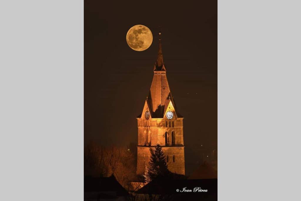 Green House Codlea, Jud Brasov Bagian luar foto