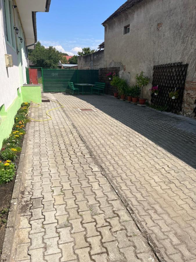 Green House Codlea, Jud Brasov Bagian luar foto